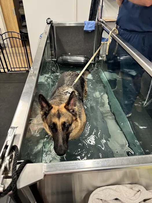 Sound Animal Rehabilitation and Fitness 12