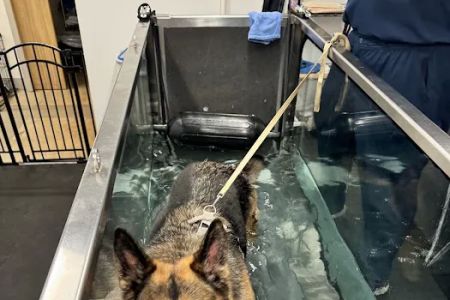 Sound Animal Rehabilitation and Fitness