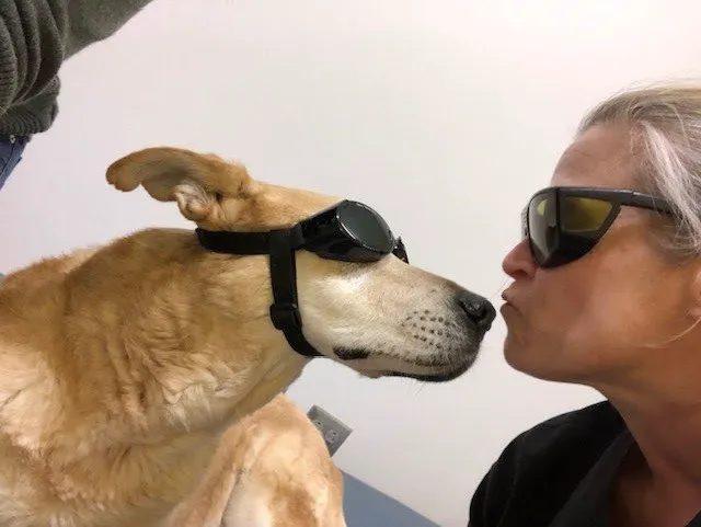 Sound Animal Rehabilitation and Fitness 12
