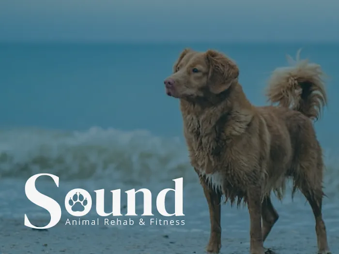 Sound Animal Rehabilitation and Fitness 12