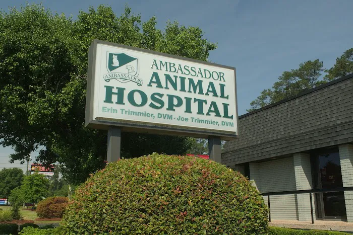 Ambassador Animal Hospital 12