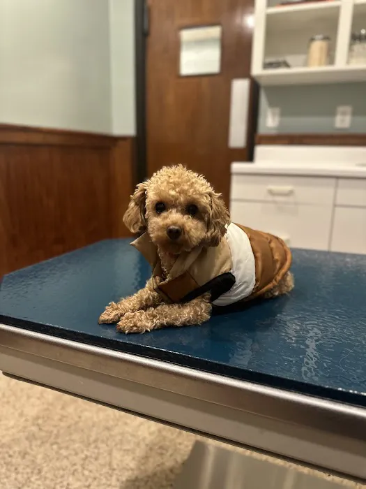 Ambassador Animal Hospital 12