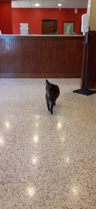 Ambassador Animal Hospital 12