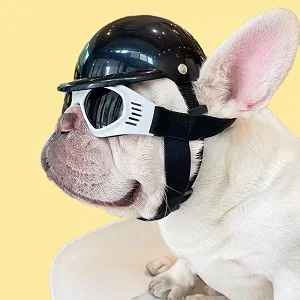 DUD'S FRENCHIE CLOTHING 4