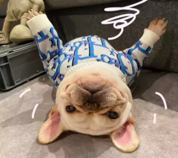 DUD'S FRENCHIE CLOTHING 6