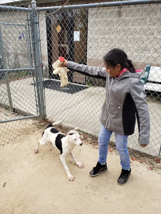 The Humane Society-Spay/Neuter/Vaccine Clinic 12