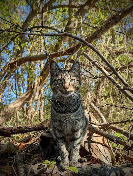 The Humane Society-Spay/Neuter/Vaccine Clinic 12