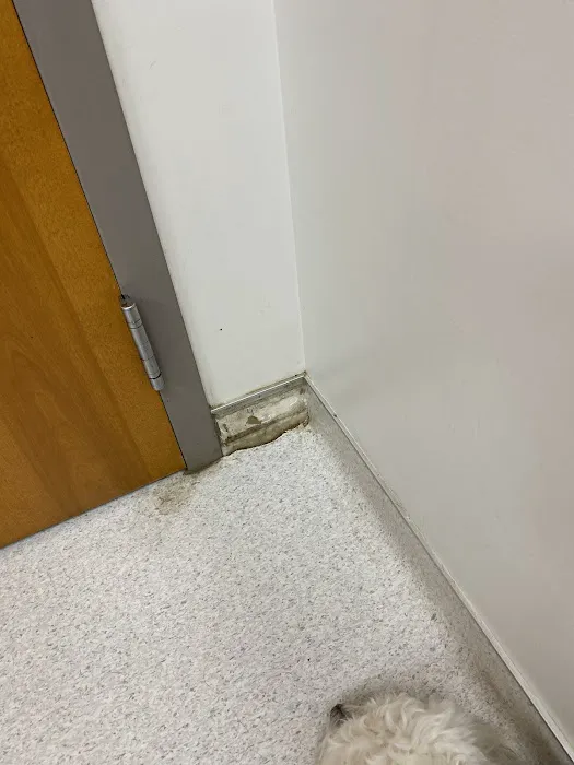 Fort Jackson Vet Clinic 12