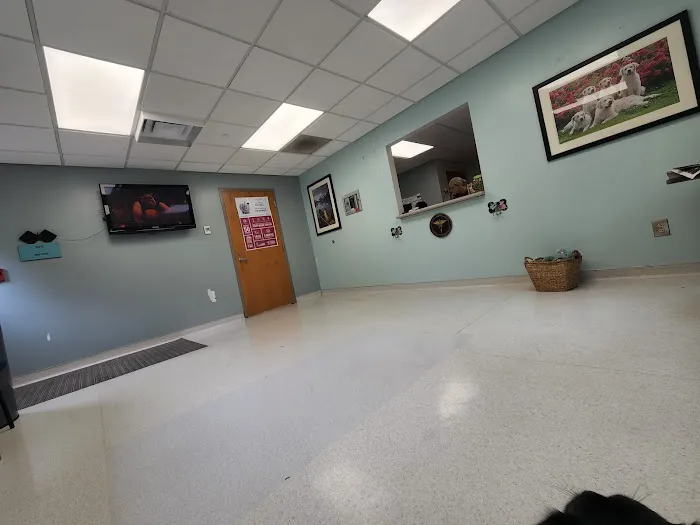 Fort Jackson Vet Clinic 12