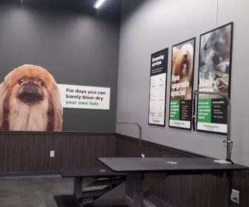 Pet Supplies Plus Evanston