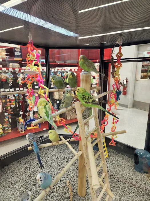Petco 12