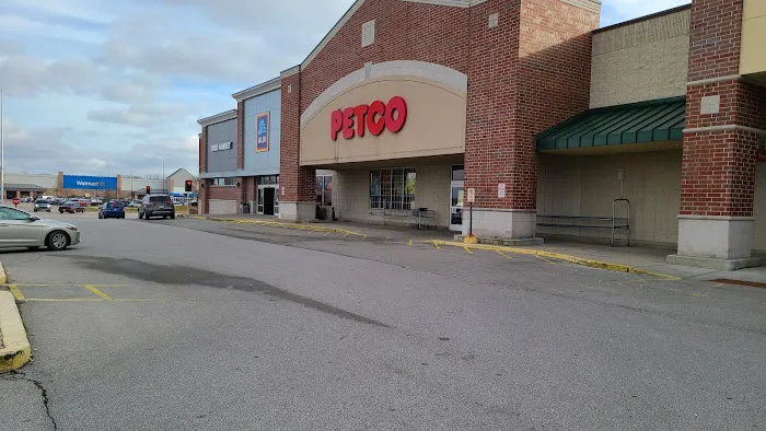 Petco 12