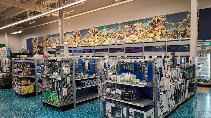 Petco 12