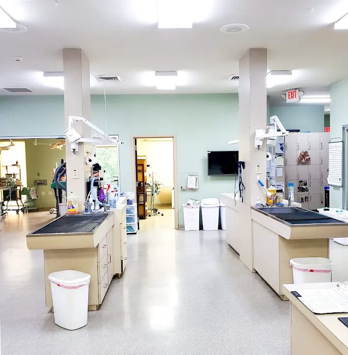Dutch Fork Animal Hospital 12