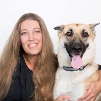 MedVet New Orleans ico