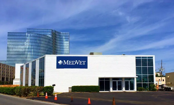 MedVet New Orleans 7