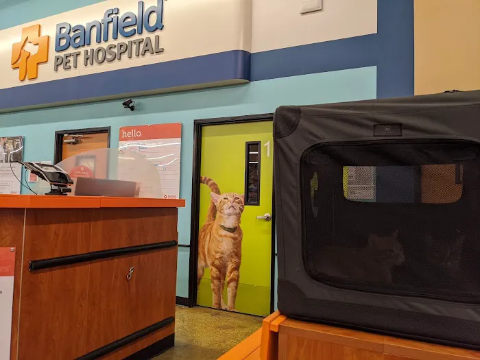 Banfield Pet Hospital 6