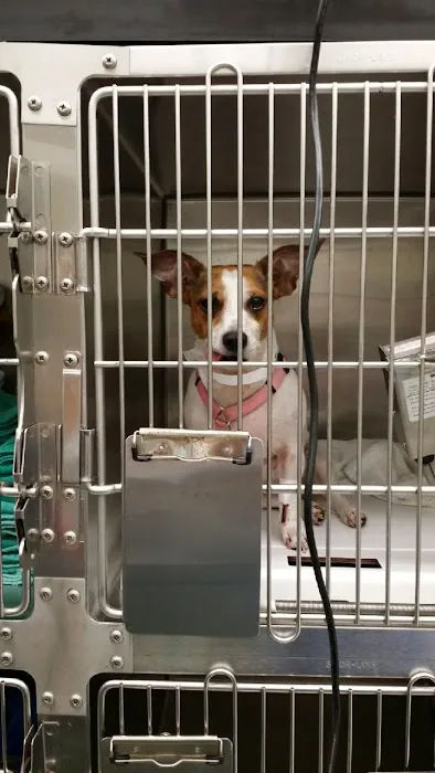 Banfield Pet Hospital 4