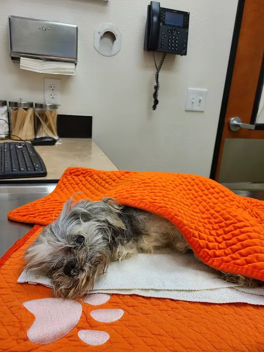 Banfield Pet Hospital 3