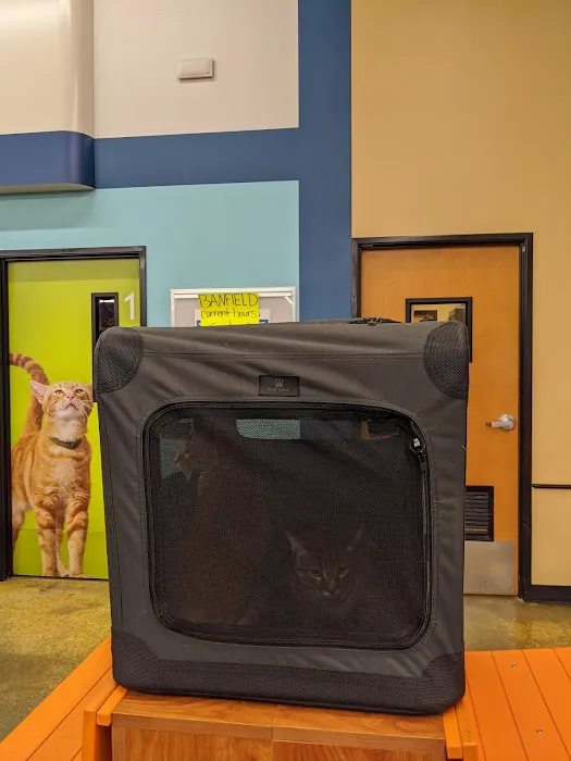 Banfield Pet Hospital 7