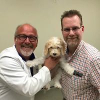 Hickory Knoll Veterinary Hospital ico