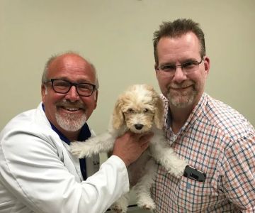 Hickory Knoll Veterinary Hospital