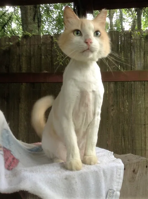 Hickory Knoll Veterinary Hospital 12