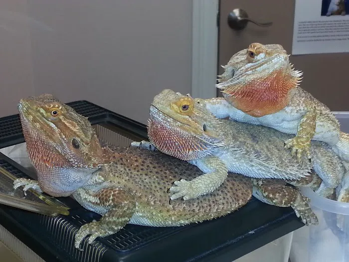Avian & Exotic Animal Hospital of Louisiana 12