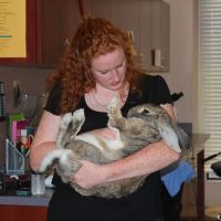 Avian & Exotic Animal Hospital of Louisiana ico