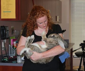 Avian & Exotic Animal Hospital of Louisiana