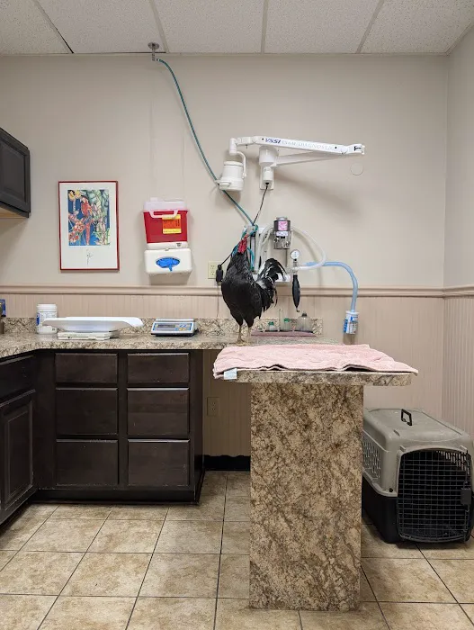Avian & Exotic Animal Hospital of Louisiana 12