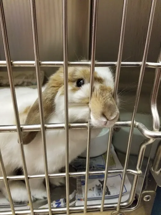 Avian & Exotic Animal Hospital of Louisiana 12