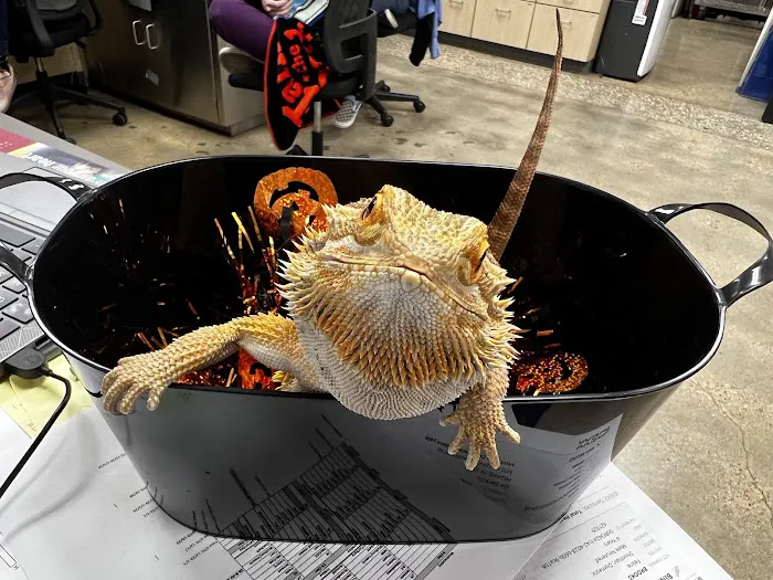 Vetco Total Care Animal Hospital 12