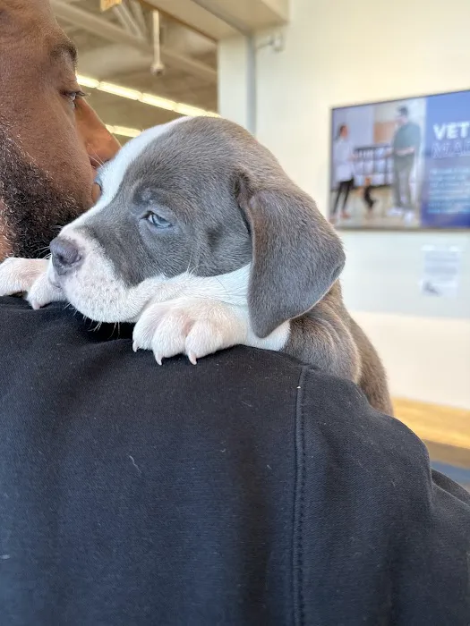 Vetco Total Care Animal Hospital 12