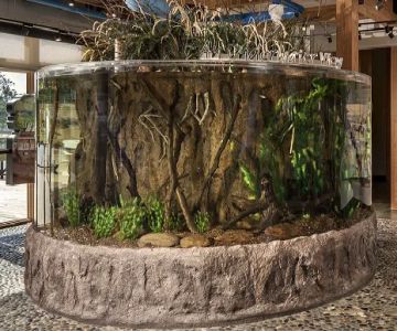 Aquamoon, LLC
