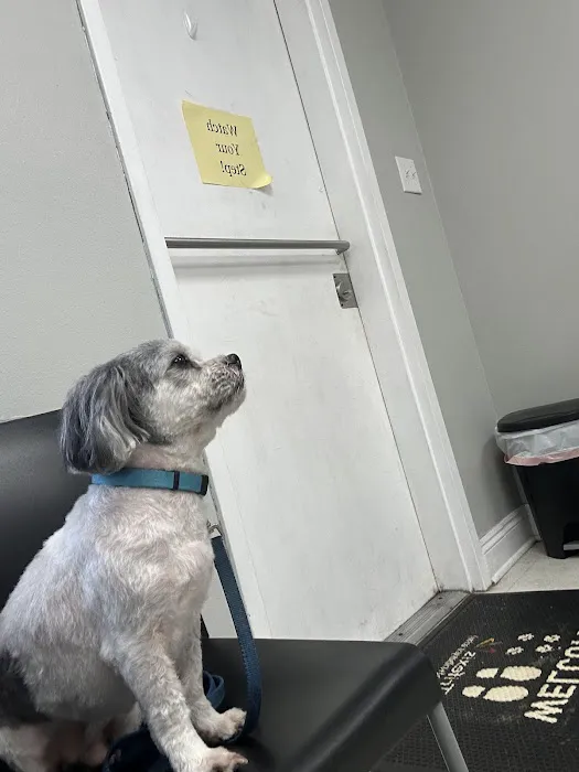 Lakeside Animal Hospital 12