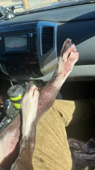 Lakeside Animal Hospital 12
