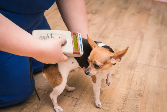 River Ridge Veterinary Clinic 12