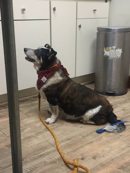 River Ridge Veterinary Clinic 12