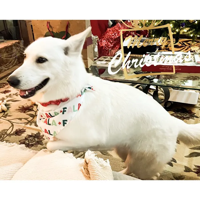 Abadie Veterinary Hospital 5