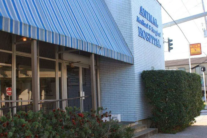 Animal Medical & Surgical Hospital 7