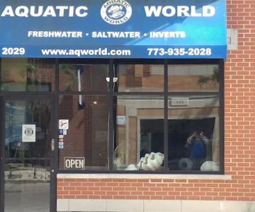 Aquatic World