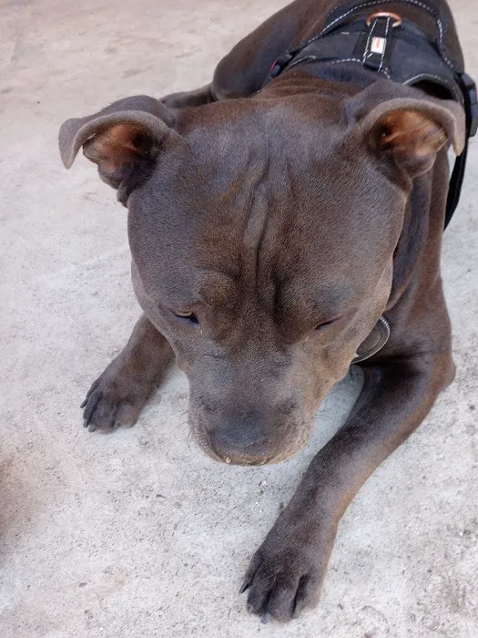 Banfield Pet Hospital 12