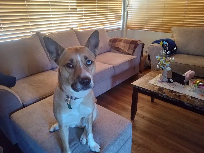 Banfield Pet Hospital 12