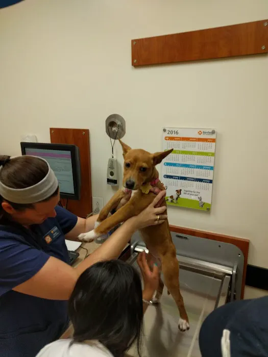 Banfield Pet Hospital 12