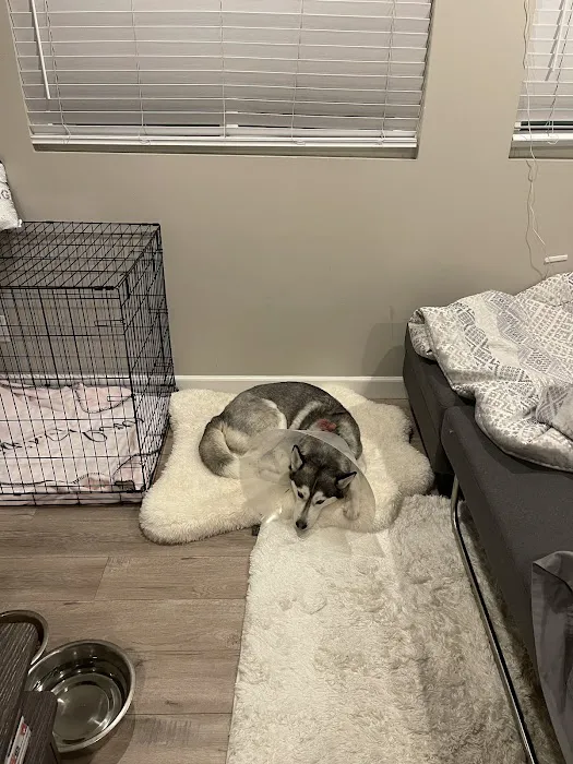 Tell Tail Veterinary Urgent Care 3
