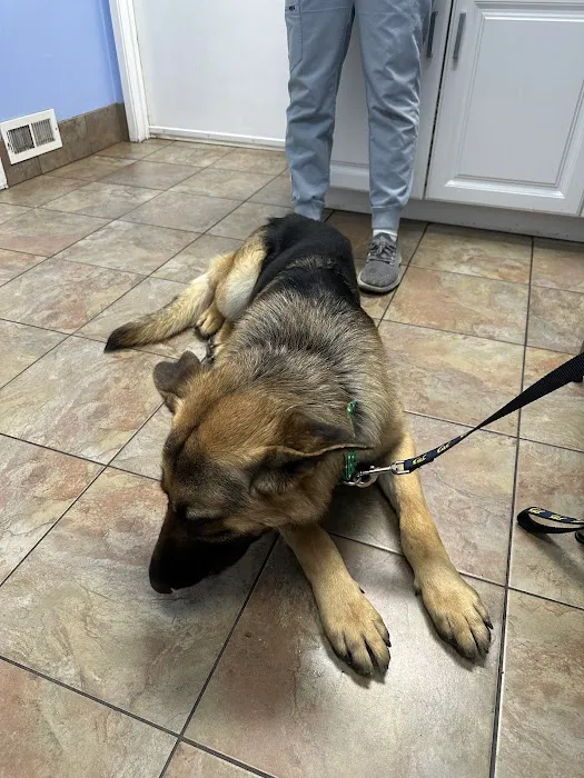 Mission Valley Pet Clinic 1