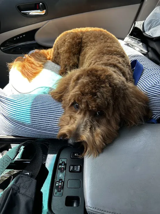 Mission Valley Pet Clinic 6