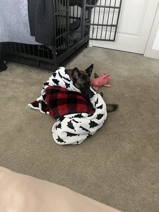 Mission Valley Pet Clinic 9