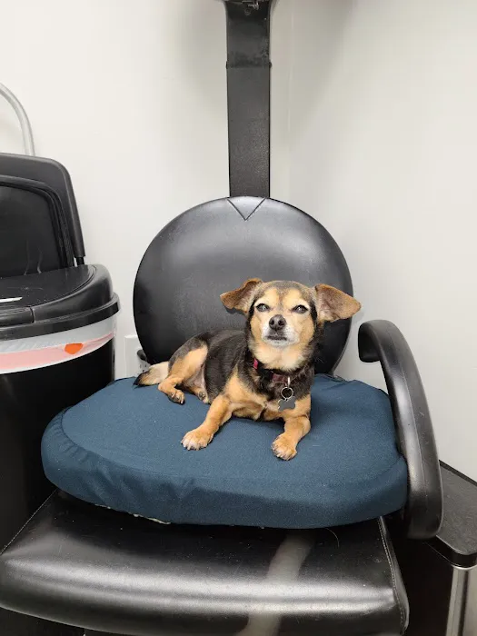 Mission Valley Pet Clinic 2